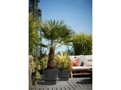 Elho Pflanzgefäß Greenville rund Ø 40 living schwarz