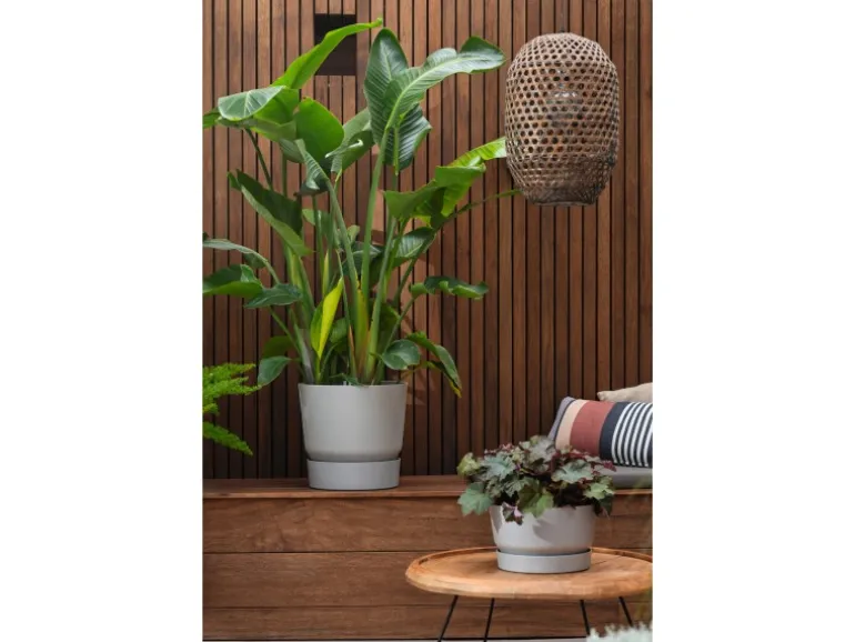 Elho Pflanzgefäß Greenville rund Ø 40 living schwarz