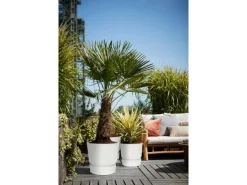 Elho Pflanzgefäß Greenville rund Ø 47 weiß