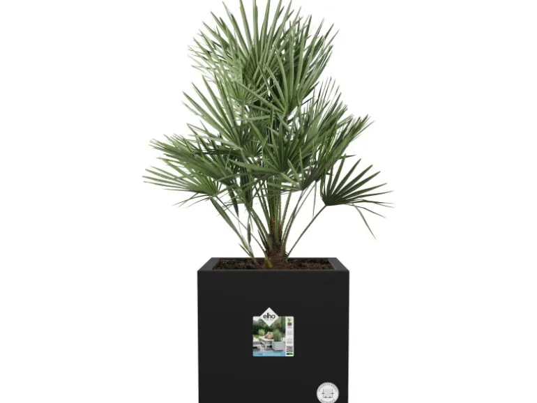 Elho Pflanztopf Vivo Next 40 cm x 40 cm x 40 cm Living Black mit Rollen