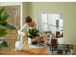 Elho Selbstbewässerungs-System Ø 28 cm x 26 cm Schwarz