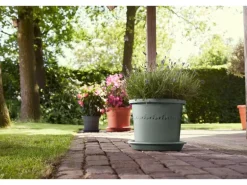 Elho Universal-Untersetzer Ø 35 cm x 5 cm Grün