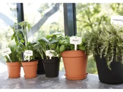 Elho Untersetzer Green Basics Ø 29 cm living schwarz