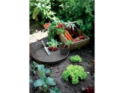 Elho Untersetzer Green Basics Ø 14 cm living schwarz