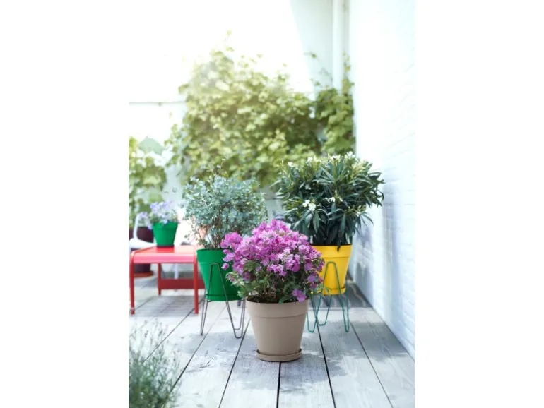 Elho Untersetzer Loft Urban Ø 21 cm x 3 cm Ocker