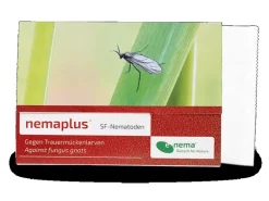 e-nema 3 Mio. SF-Nematoden gegen Trauermücken nemaplus