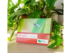 e-nema 3 Mio. SF-Nematoden gegen Trauermücken nemaplus