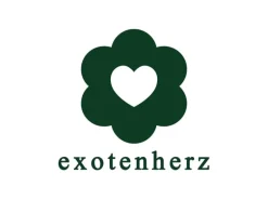 Exotenherz Kaffee Pflanze Coffea Arabica 1 Pflanze Zimmerpflanze