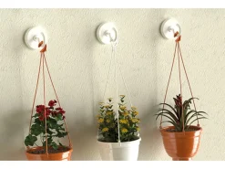 Fischer Klebehaken und Kleber