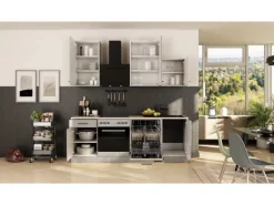 Flex-Well Exclusiv Küche 1701-017sWs Lund 220 cm Lichtgrau glänzend-Rauchgrau