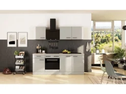 Flex-Well Exclusiv Küche 1601-005sWs Lund 210cm Lichtgrau glänzend -Rauchgrau