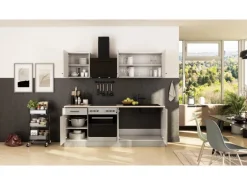 Flex-Well Exclusiv Küche 1601-005sWs Lund 210cm Lichtgrau glänzend -Rauchgrau