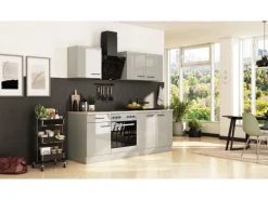 Flex-Well Exclusiv Küche 1601-005sWs Lund 210cm Lichtgrau glänzend -Rauchgrau
