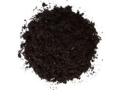 Floragard Bio-Kräutererde Aromatisch 40 l