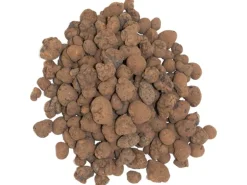 Floragard Blähton/Tongranulat 1 x 25 l