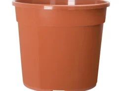 Florus Anzuchttopf Ø 15 cm terrakotta