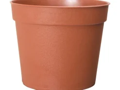 Florus Anzuchttopf Ø 6,5 cm terrakotta