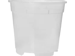 Florus Orchideentopf Ø 19 Transparent