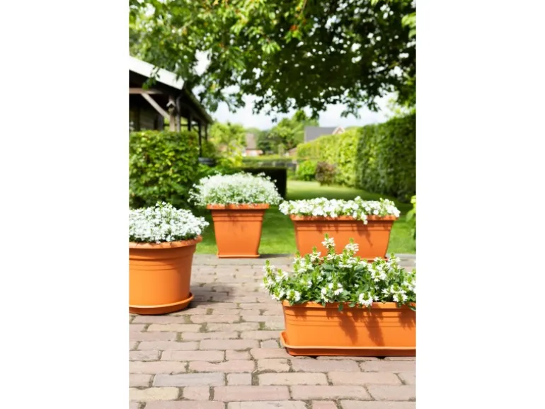 Florus Pflanztopf Cilindro Ø 30 cm Terrakotta