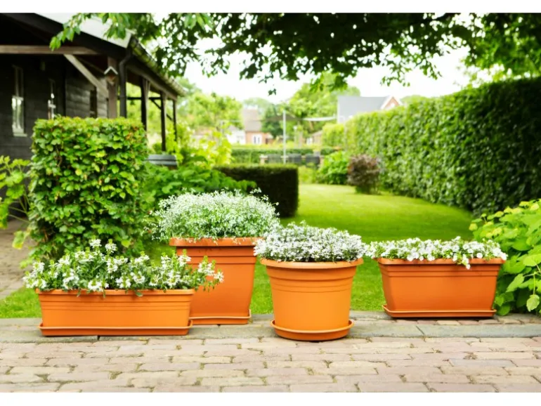 Florus Pflanztopf Cilindro Ø 40 cm Terracotta