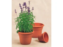 Florus Pflanztopf Fiore Alessia Ø 30 cm terrakotta