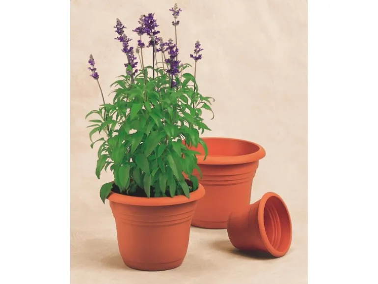 Florus Pflanztopf Fiore Alessia Ø 30 cm terrakotta