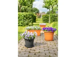 Florus Pflanztopf Sienna Ø 40 terrakotta