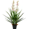 furnicato Künstliche Cymbidium Orchideenpflanze mit Topf 100 cm Grün