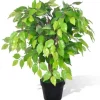 furnicato Künstlicher Zwerg-Ficus mit Topf 60 cm