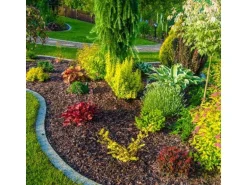 Galamio Kiefernrinde Fein 60l