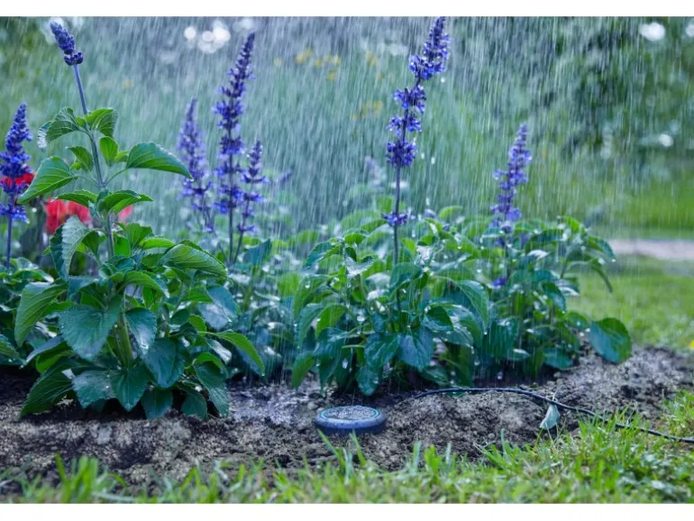 Gardena Bodenfeuchtesensor Bewässerungssteuerung