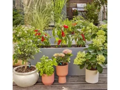 Gardena Tropfbewässerung Set Terrasse (30 Pflanzen) sofort einsatzbereit