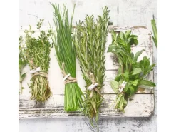 Glasbild Cook me IV 20 cm x 20 cm