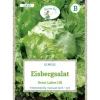 Grüne Fee Eisbergsalat Great Lakes 118 Saatgut