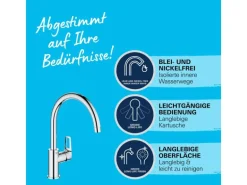 Grohe QuickFix Einhebel-Spültischarmatur Start Loop Chrom