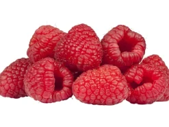 GROW by OBI Bio Himbeere "TwoTimer® -Sugana®" Rot Höhe ca. 20-30 cm Topf ca. 2 l