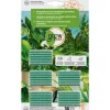 GROW by OBI Düngestäbchen für Grünpflanzen und Palmen, 30 Stück