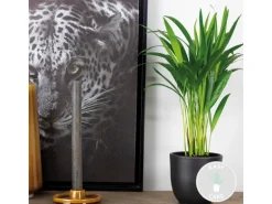 GROW by OBI Goldfruchtpalme Topf Ø ca. 12 cm Areca Dypsis Lutescens