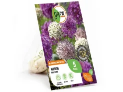 GROW by OBI Zierlauch Purple Sensation Mischung 5 Stück Allium