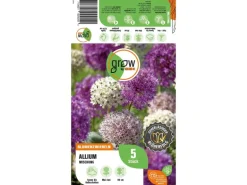 GROW by OBI Zierlauch Purple Sensation Mischung 5 Stück Allium