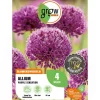 GROW by OBI Zierlauch Purple Sensation 4 Stück Allium aflatunense Allium