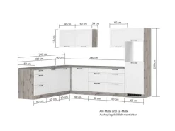 Held Küchen Winkelküche Kempten 300 cm Weiß/Wotan mit E-Geräten autark Indukt.