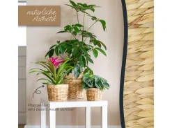 HMF 37280-14CM+19CM+25CM Innovativer Blumentopf Wasserhyazinthe Pflanztopf Rund 3 Größen