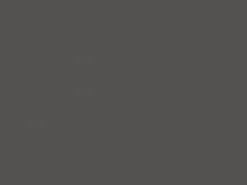 Impuls Küchen Küchenzeile IKZ1320FL 320 cm Grafit  mit E-Geräten