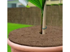 KARAT Mulchscheiben Kokos Pflanzenschutzmatte Winterschutz Kokosfaser 1 Stück Ø 15 cm