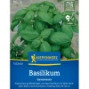 Kiepenkerl Basilikum "Genoveser"