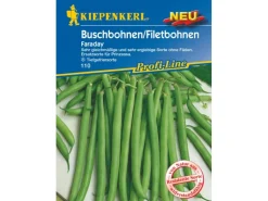 Kiepenkerl Buschbohne "Faraday"