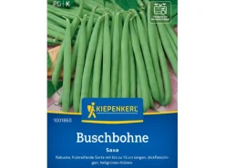 Kiepenkerl Buschbohne "Saxa"