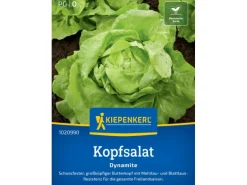 Kiepenkerl Profi-Line Kopfsalat "Dynamite"