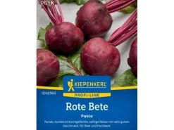 Kiepenkerl Profi-Line Rote Bete "Pablo" F1-Hybride